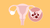 female reproductive system with polycystic ovary syndrome (PCOS)