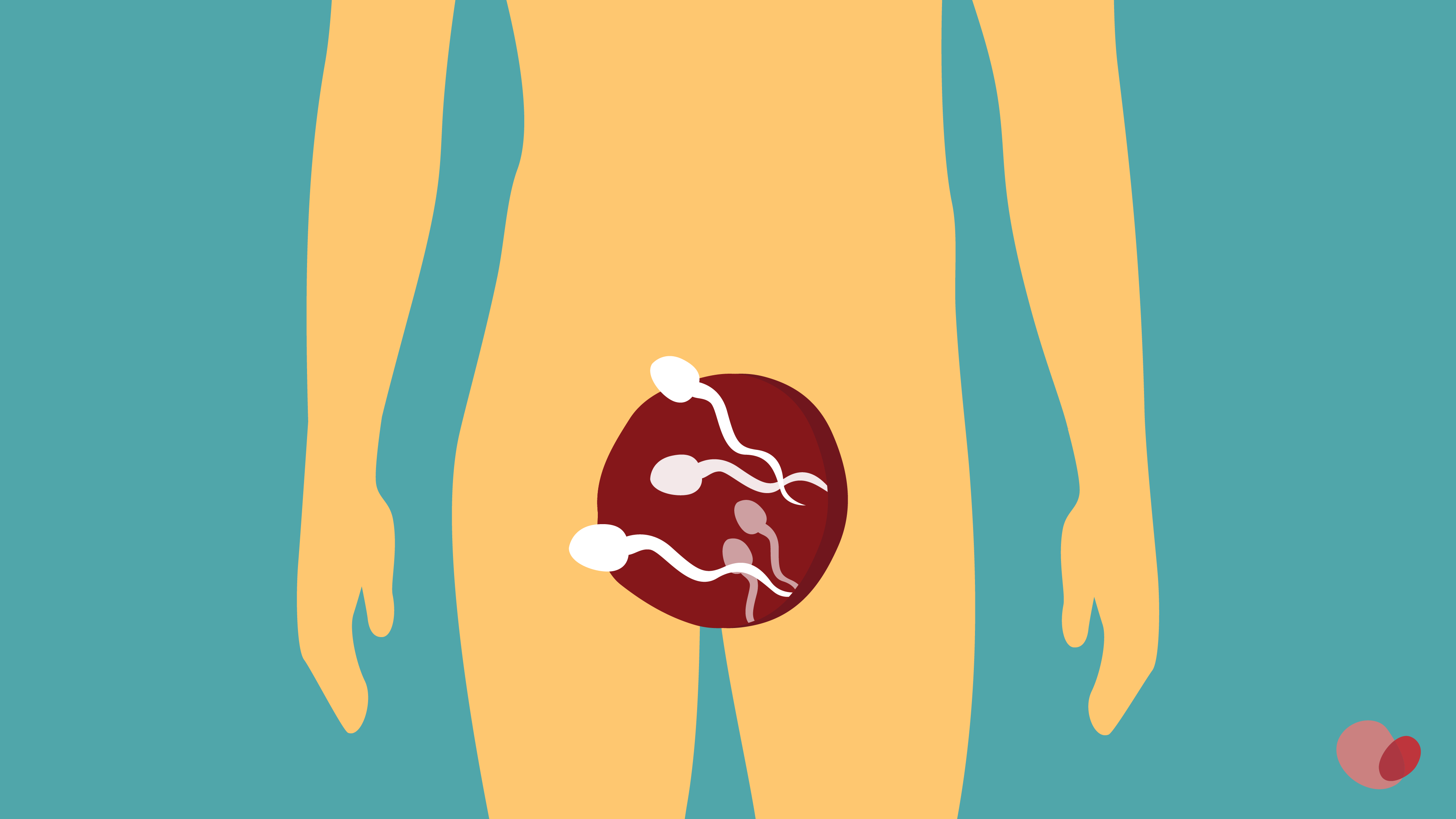 how long does sperm live outside the body