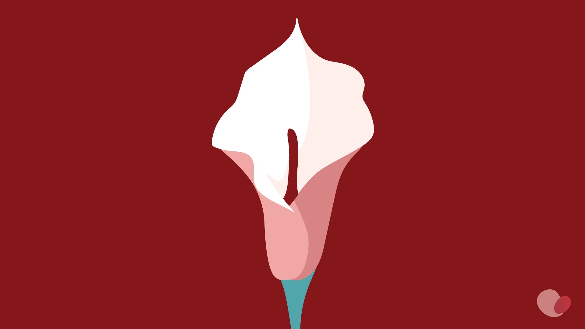 a close-up of a flower against a dark red background