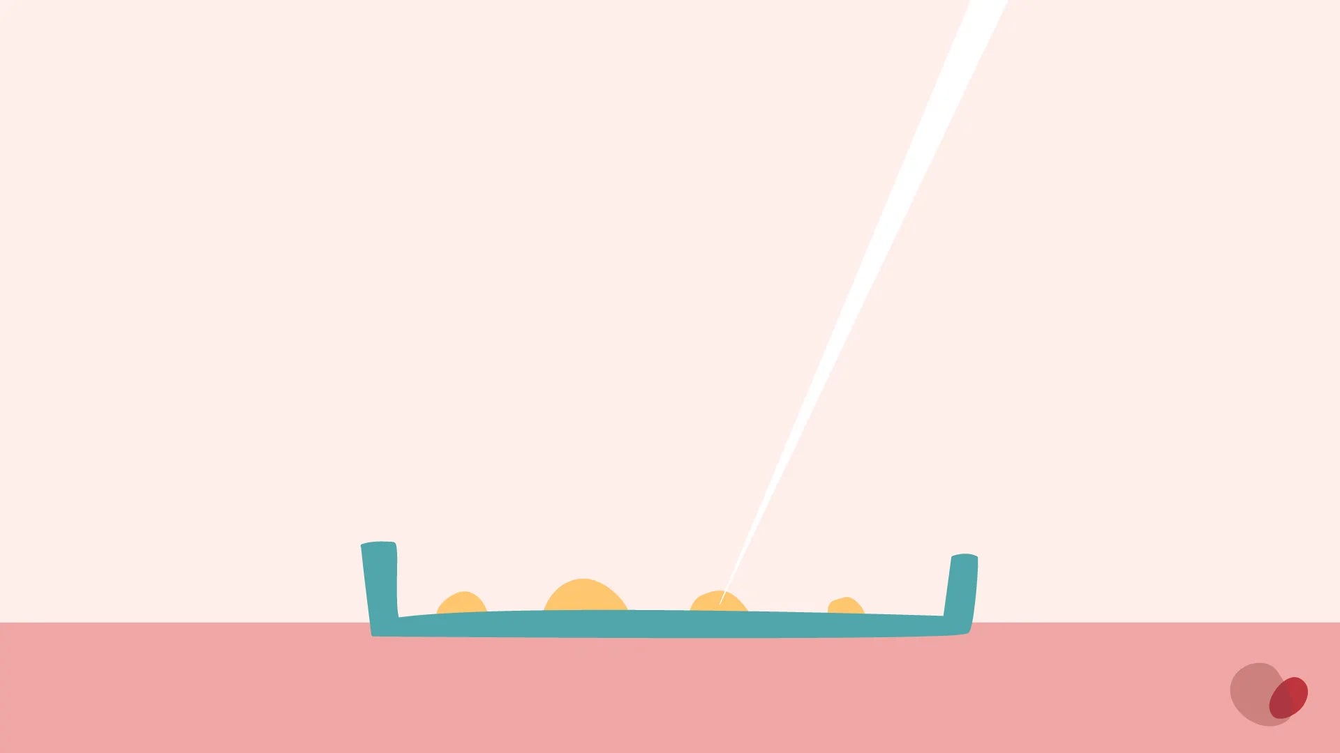 pipette transfers eggs to a petri dish