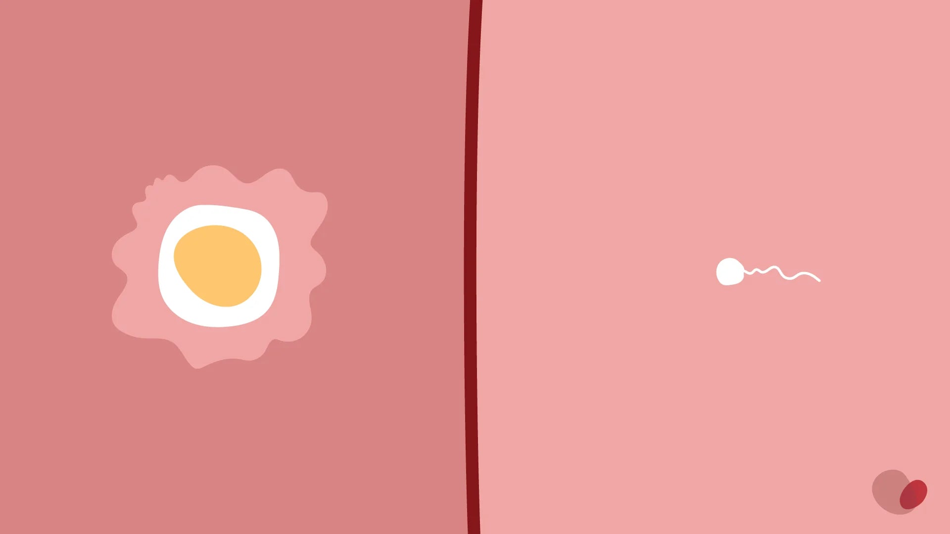 Ovulation & Your Fertile Window: The Best Time To Get Pregnant ...